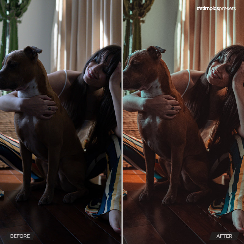 PTM_Before-After_1