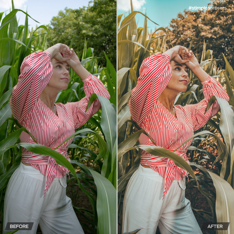 PTM_Before-After_2