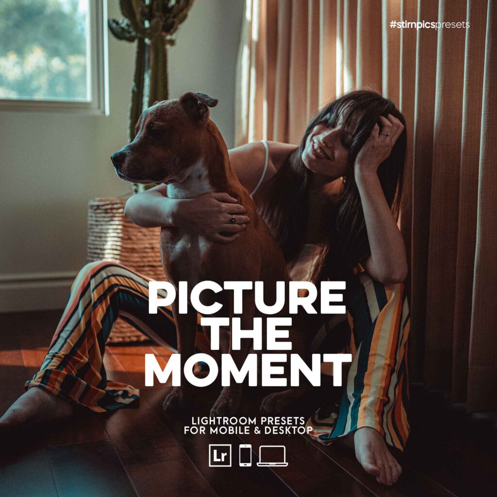 stirnpics_PTM_cover_web